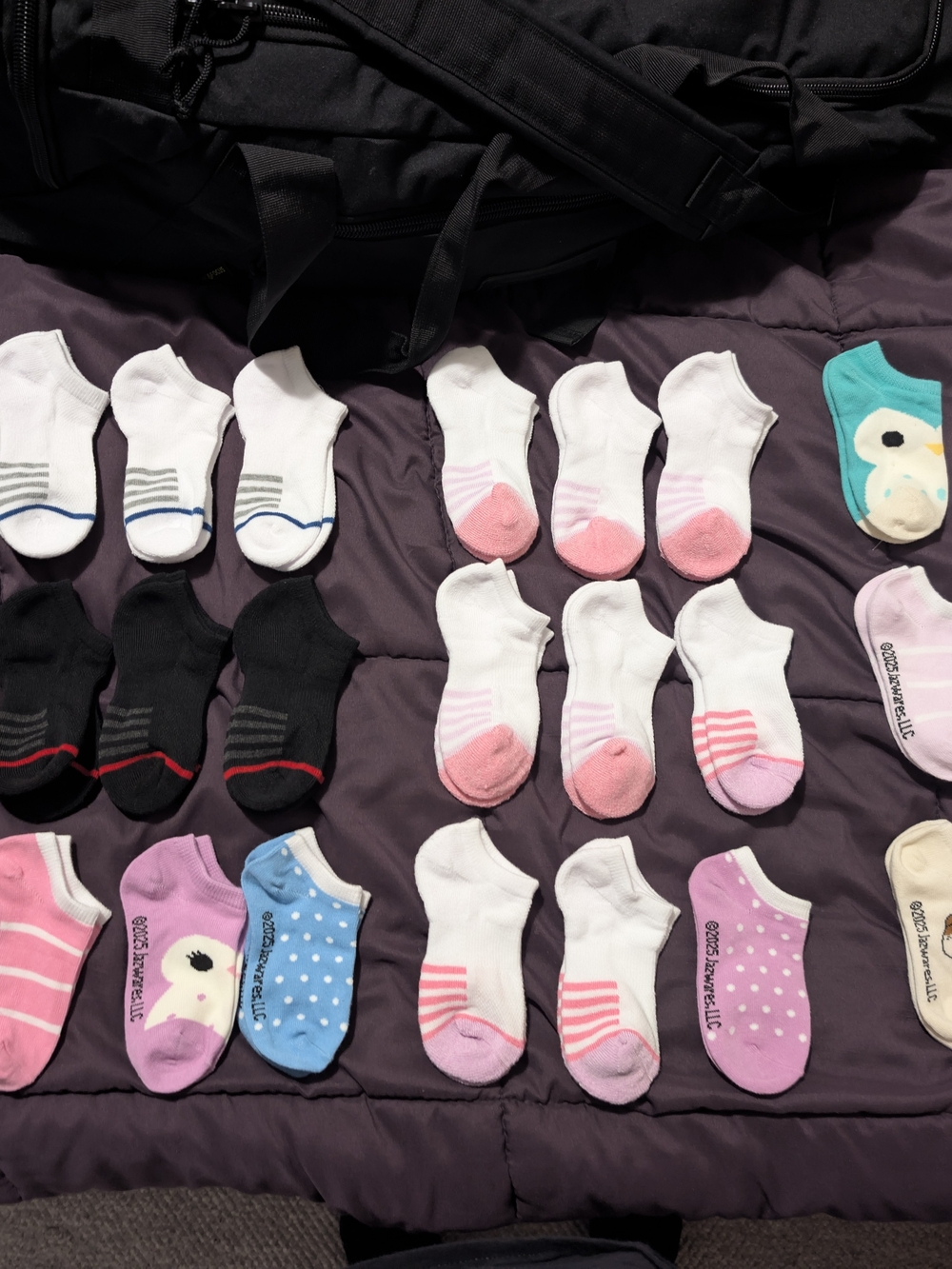 Girls' No-Show Sock Set — White, Pink, Black, Blue & Purple Accents